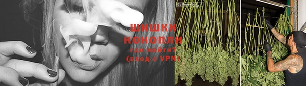 гидра Бугульма