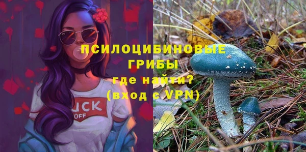 молекула духа Белокуриха
