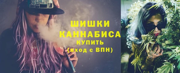 прущая мука Бородино