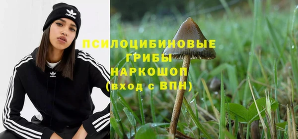 гидра Бугульма