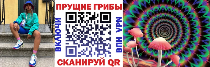 Галлюциногенные грибы GOLDEN TEACHER  Верхняя Пышма 