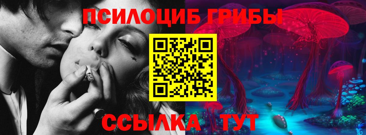 Верхняя Пышма  Псилоцибиновые грибы Psilocybe  Галлюциногенные грибы ЛСД  Вход с VPN 
